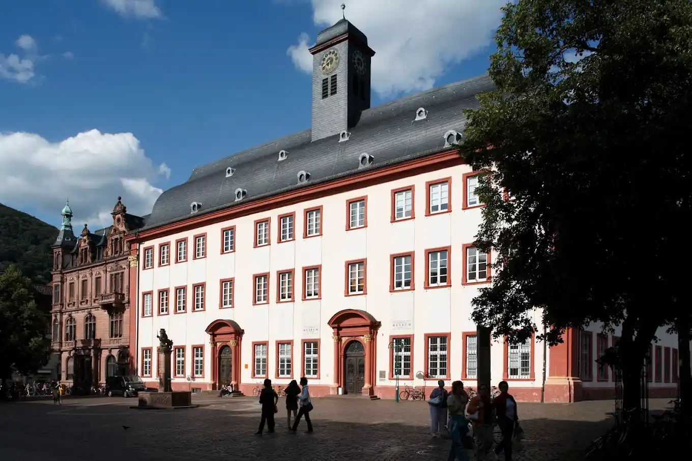 Heidelberg University